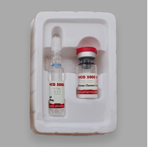 DP HCG 5000iu