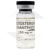 Testosterone Enanthate Euro US