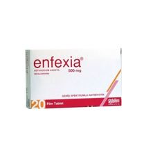 Enfexia