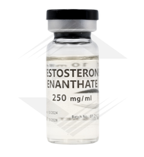 Testosterone Enanthate Euro US