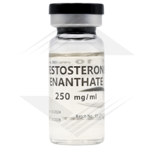 Testosterone Enanthate Euro