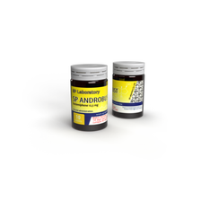 SP Androbust