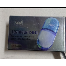Geniqs Testogenic-U40 US