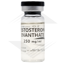 Testosterone Enanthate Euro US