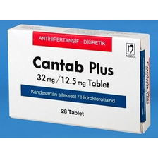 Cantab plus