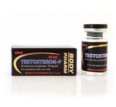 Testosteron P 50 Bodypharm