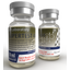 Buy online SP Supertest EU made by SP Laboratory and contains Testosterone Acetate, Testosterone Decanoate, Testosterone Propionate, Testosterone Phenylpropionate, Testosterone Cypionate, 1