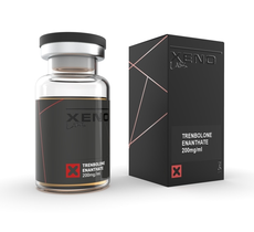 Xeno Tren E 200 US