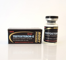 Testosteron E Bodypharm