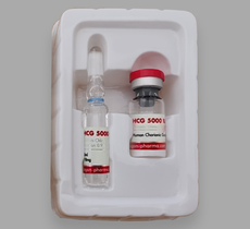 DP HCG 5000iu