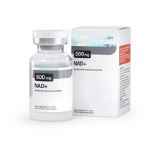 Ultima-NAD+ 500 US