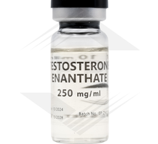 Testosterone Enanthate Euro US